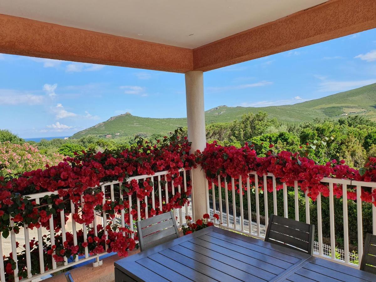 Cap Corse Villa Vue Mer Et Montagne Pietracorbara Exterior photo